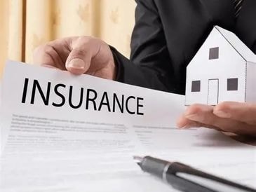 Insurance Support