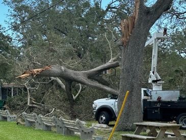 Storm Cleanup