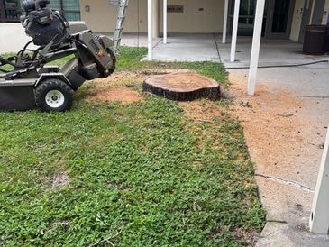 Stump & Root Removal